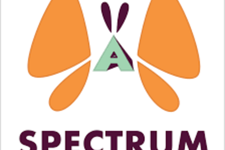 Spectrum's logo, an orange butterfly, where its body is the letter A