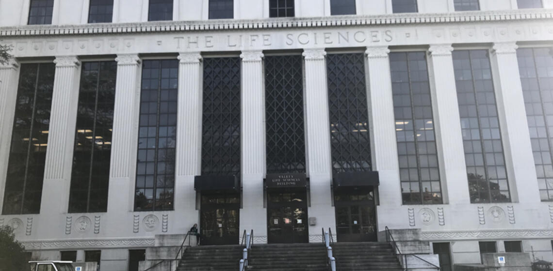 The south entrance to VLSB. There is an accessible ramp to the right of the entrance's stairs.