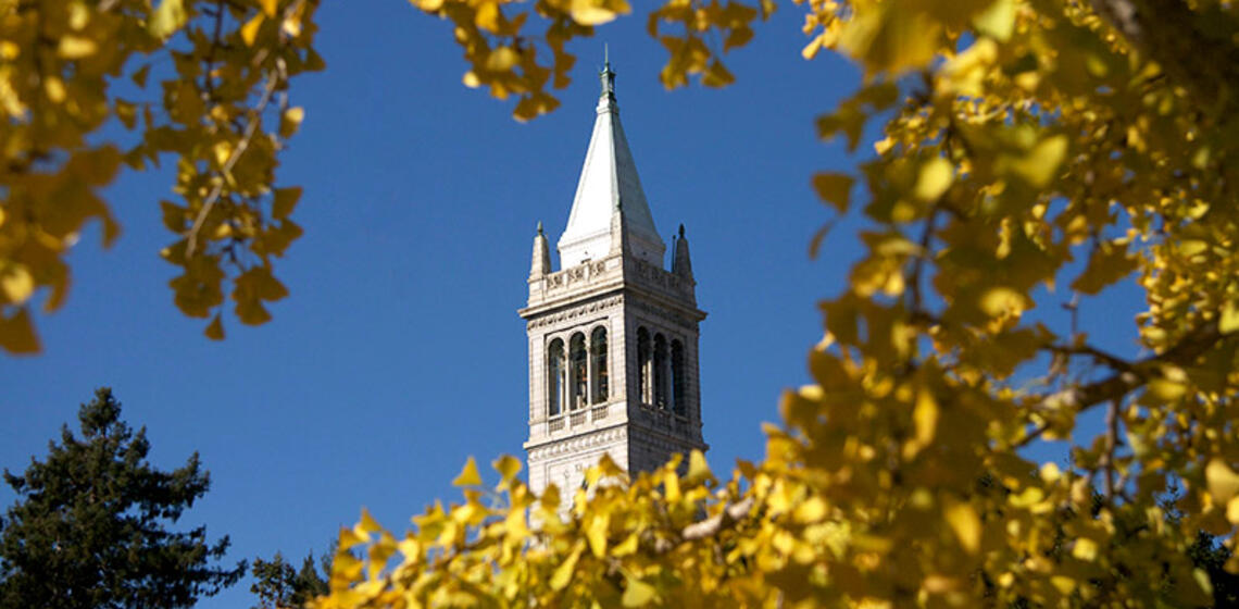 A distant view of the Campanile, surrounded by yellow leaves.